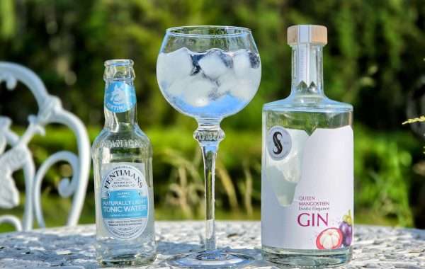 Gin Tonic med Silver Distillery Queen Mangosteen Gin. Oppskrifter med vårens nye gin - 2026 edition.