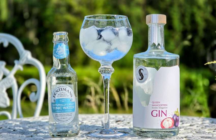 Gin Tonic med Silver Distillery Queen Mangosteen Gin. Oppskrifter med vårens nye gin - 2026 edition.