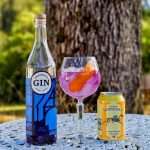 Gin Tonic med Vålerenga Gin