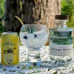 Gin og Tonic med Geiranger Brenneri Botanisk Gin