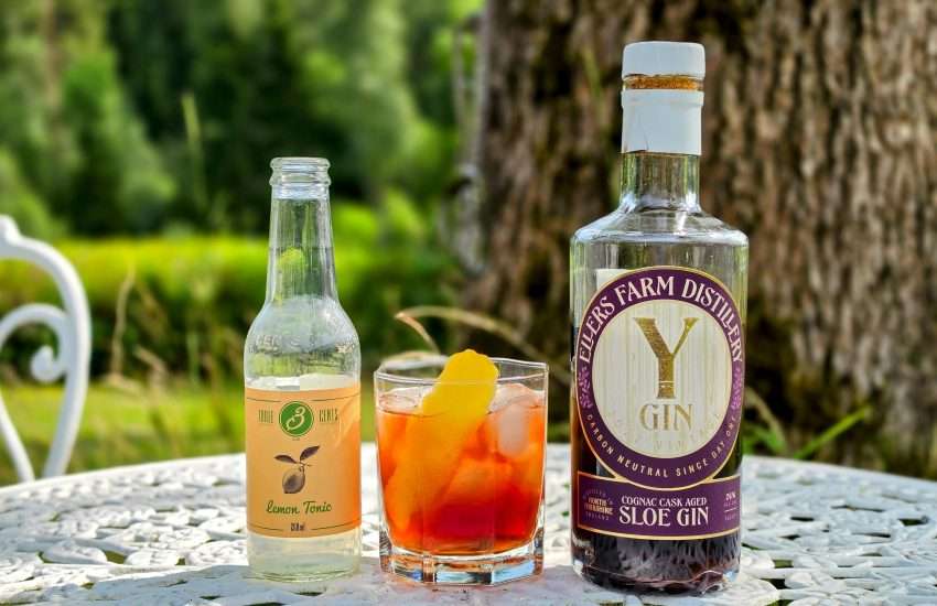 Gin og Tonic med Y-gin Cognac Cask Sloe Gin
