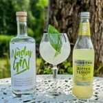 Nadar Gin med Fever-Tree Bitter Lemon