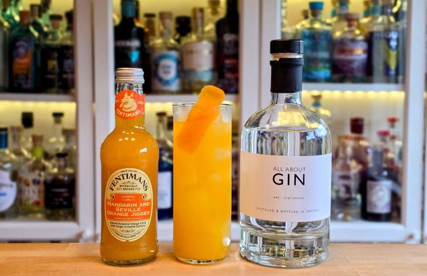 All About Gin med mandarin og appelsin