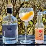 All About Navy Strength Gin med grapefruktsoda