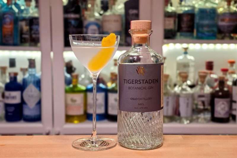 Dry Martini med Tigerstaden Botanical Gin