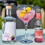Gin og Tonic med Silver Queen Mangosteen Gin