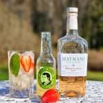 Hayman's Peach & Rose Cup og Bitter Lemon