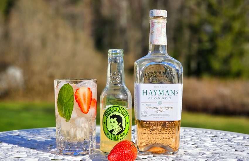Hayman's Peach & Rose Cup og Bitter Lemon