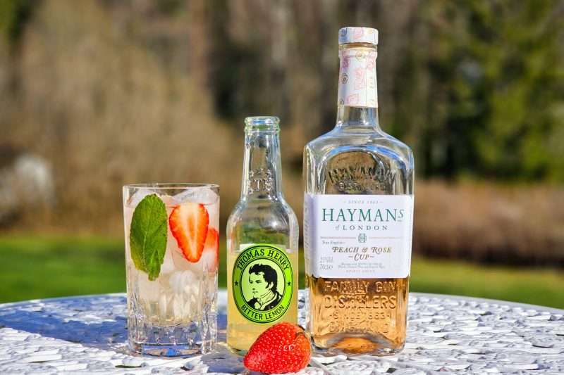 Hayman's Peach & Rose Cup og Bitter Lemon