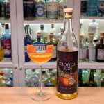 Melon Martini Oslo Håndverksdestilleri Tropical Gin