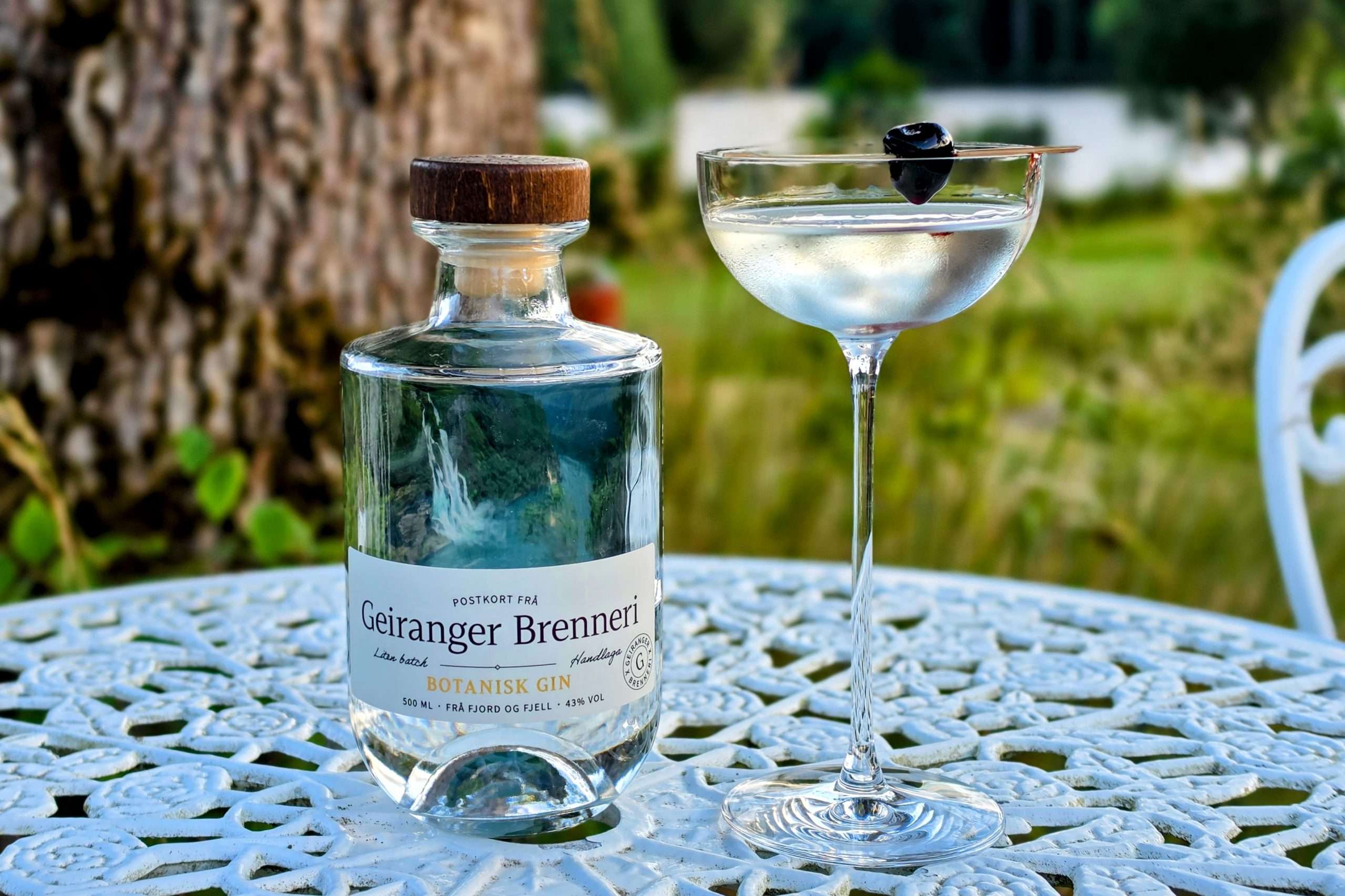 Starlight Reverse Martini Geiranger Brenneri Botanisk Gin